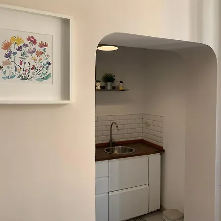 Apartament Cavour's